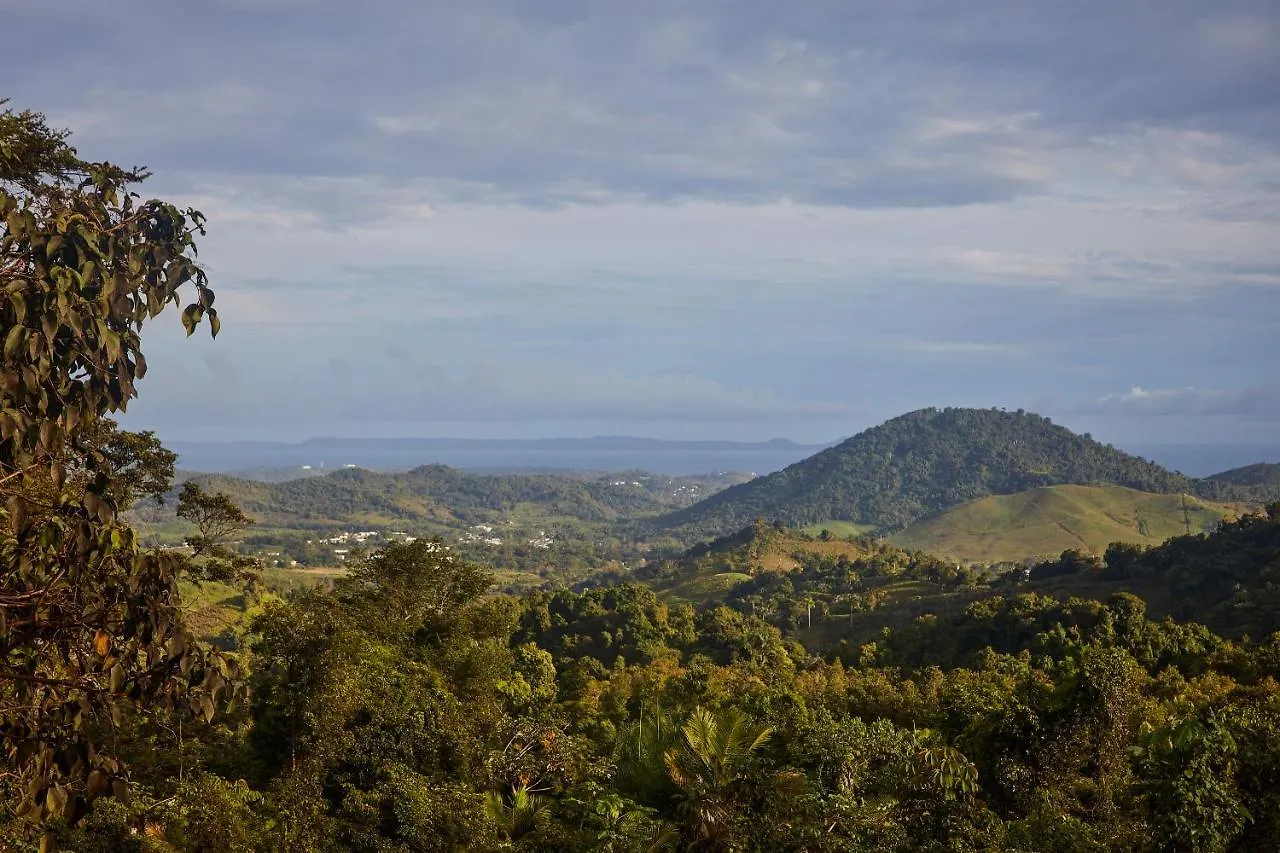 Naguabo Wald Haus By Dw 빌라