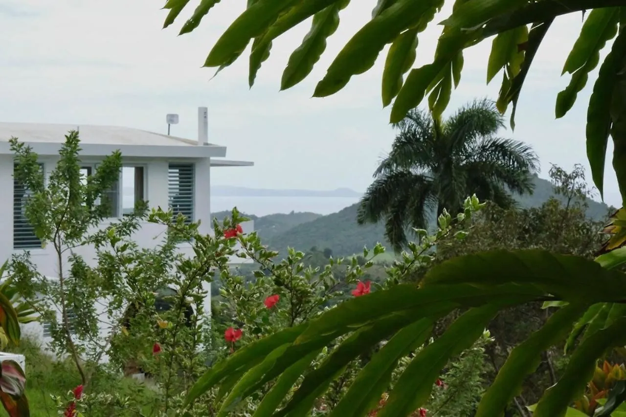 Naguabo Wald Haus By Dw 빌라 0*,  푸에르토리코