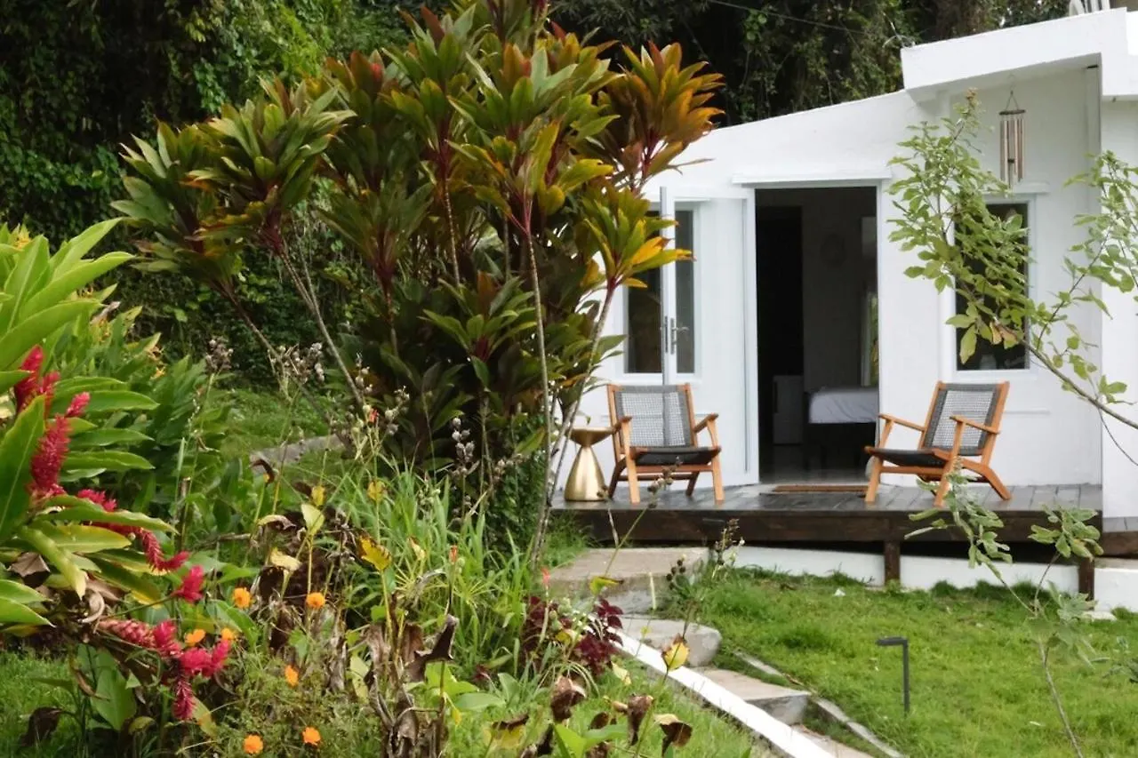 Naguabo Wald Haus By Dw 빌라