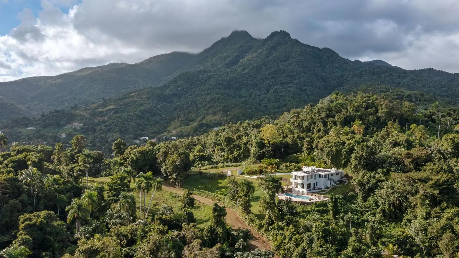 Naguabo Wald Haus By Dw 빌라